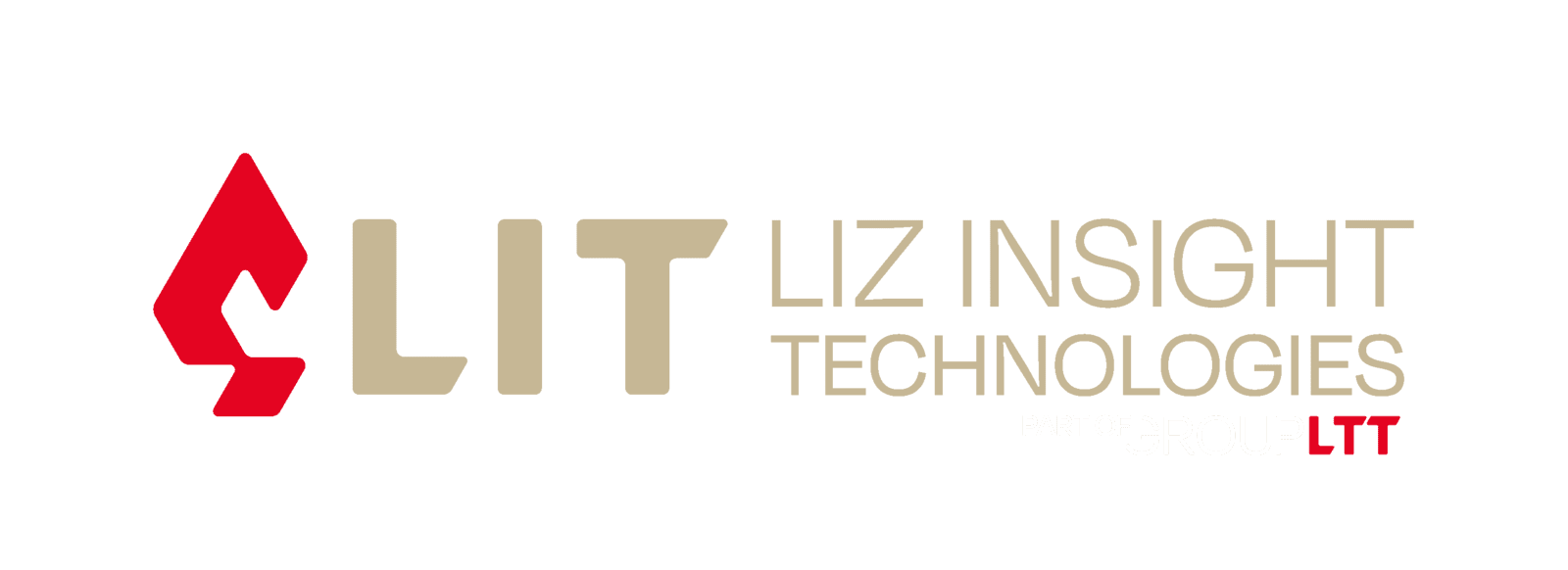 Liz Insight Technologies